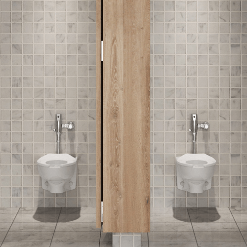 Image of a commerical flush valve with WC on grey color walls